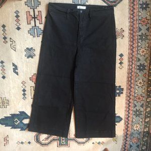 Madewell Emmett Wide-Leg Crop Size 31